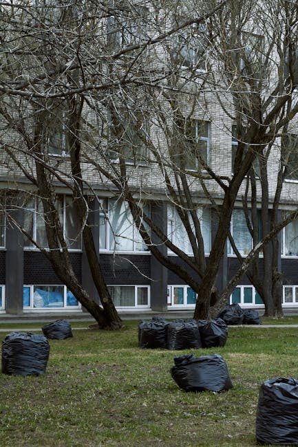 Several black rubbish bags, made of plastic with a matte finish, are scattered across a grassy area in front of a multi-storey residential building. The bags vary in size and are positioned both upright and leaning to one side, some partially overlapping each other. Behind the bags, there are three mature deciduous trees with dark, textured bark and leafless branches extending outward, indicating a winter or early spring scene. The building in the background has a modern appearance with a combination of white brickwork and dark cladding at the lower levels, featuring large windows with white frames, some of which have partially open or visible curtains. The overall lighting is diffuse, suggesting an overcast sky, and the scene as a whole conveys a setting aligned with private waste collection or rubbish removal services, as handled by companies like Waste Clearance Kentish Town, focusing on on-site clearance of household waste or garden debris.